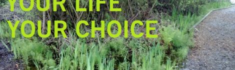 YOUR LIFE YOUR CHOICE