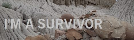 I'M A SURVIVOR